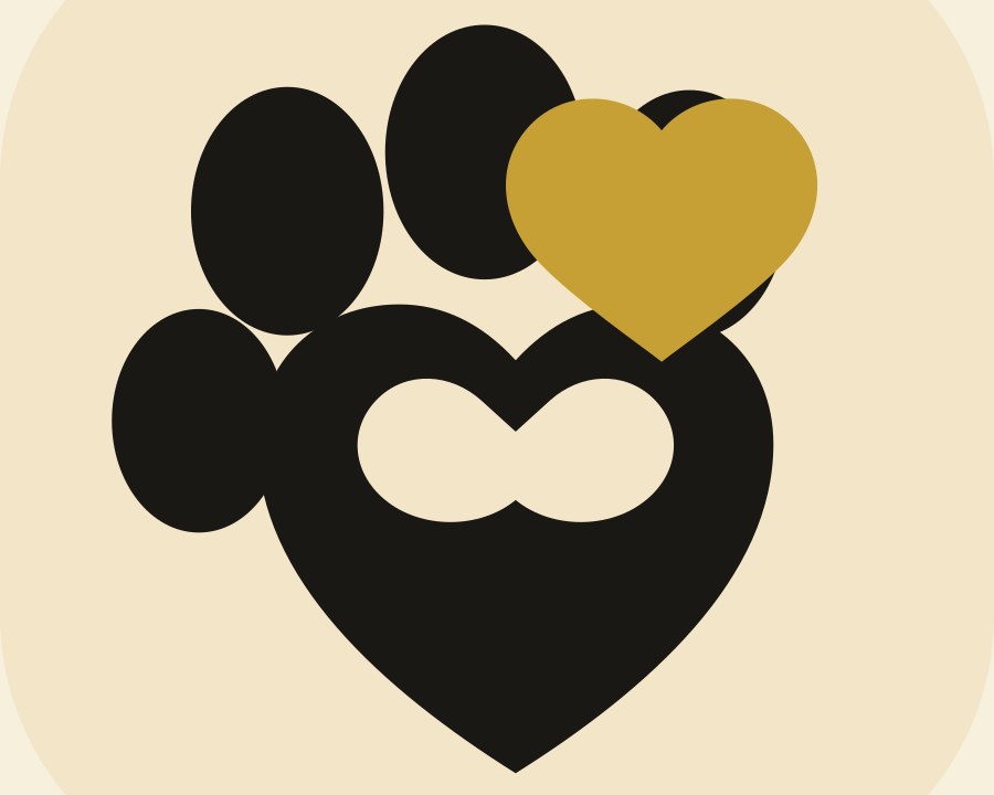 Little Paws Big Hearts — black paw with a white heart, gold lettering, pet boarding