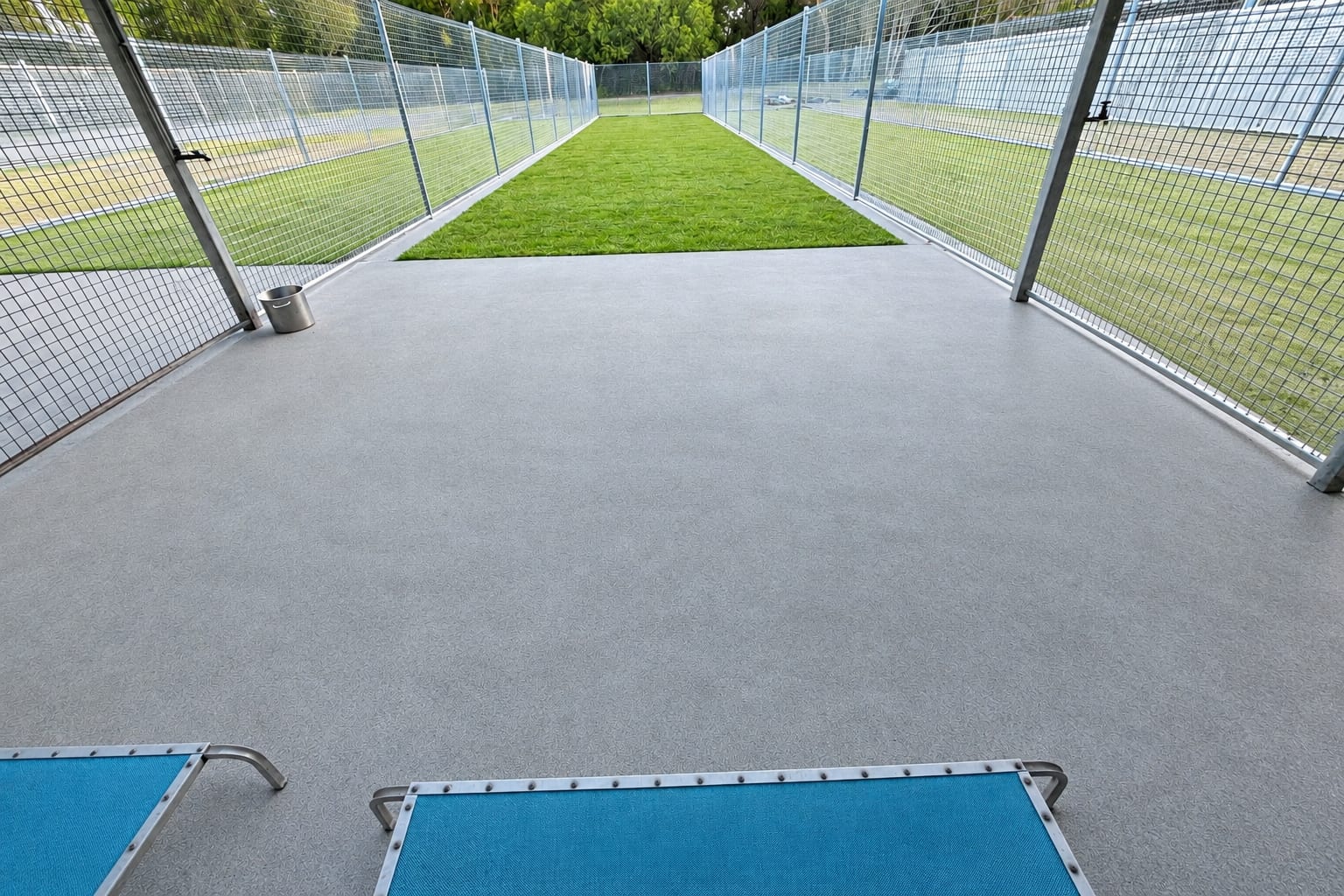 Outdoor kennel run with a concrete pad, a strip of grass, mesh fencing and raised blue beds at Little Paws Big Hearts.